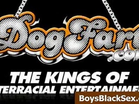 Blacks On Boys - Bi-racial Pornography Gay Flicks - 17